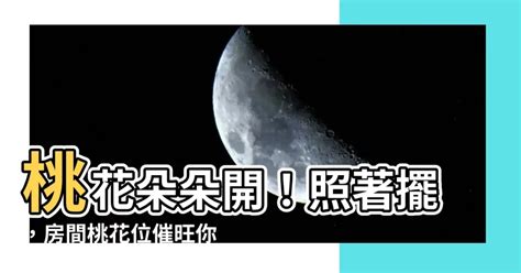 房間放什麼招桃花|招桃花 旺人緣2024攻略：飾品小物、房間佈置、盆栽植物到風水。